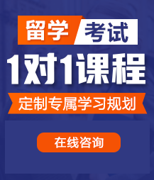 操比视频免费看网站留学考试一对一精品课